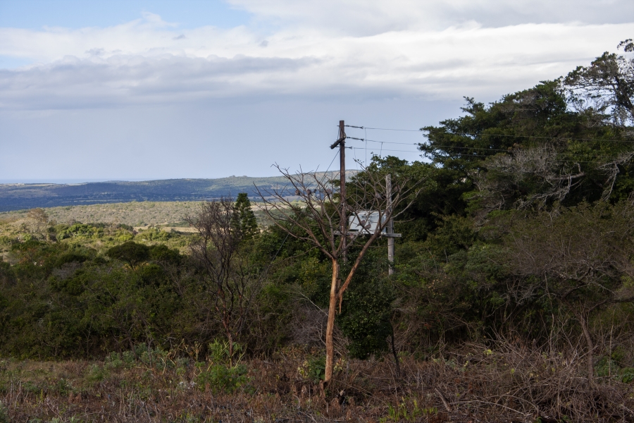 0 Bedroom Property for Sale in Bathurst Eastern Cape